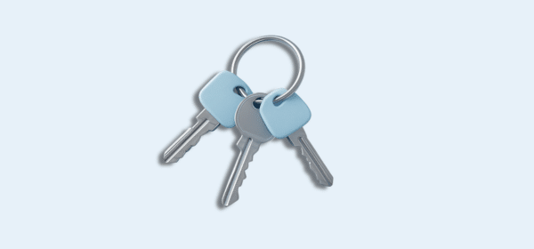 Keys Illustration